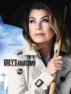 实习医生格蕾 第十二季 Grey&#039;s Anatomy Season 12