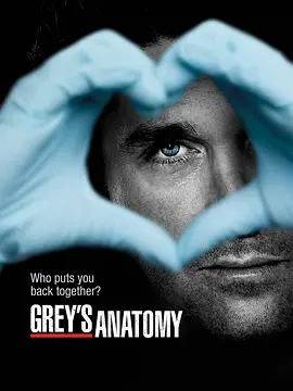 实习医生格蕾 第九季 Grey&#039;s Anatomy Season 9